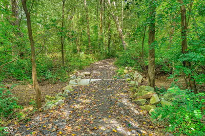 7566 Blue River Road, Carthage - 70