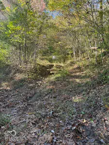 0 Sweetwater Trail, Nineveh - 12
