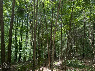 0 Buffalo Pike Road, Freetown - 2