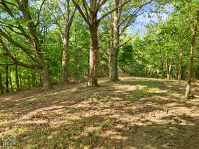 0 McCarthy Knob Road, Lanesville - 11