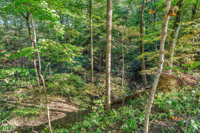 1042 Farmington Drive, Crawfordsville - 66