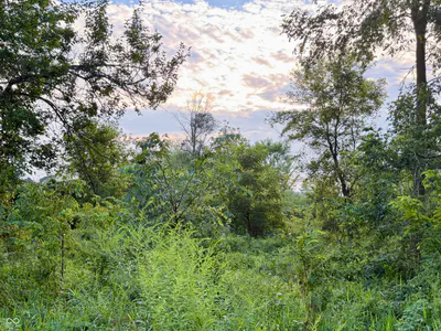 1732 250 West Road, Albion - 14