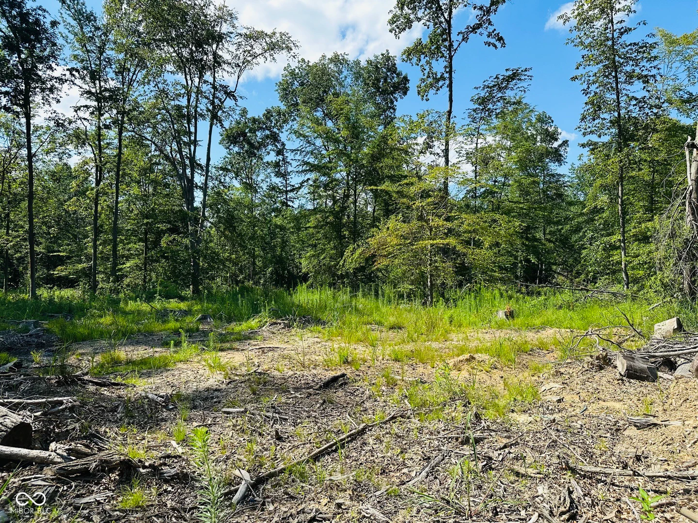 Tract A Private Rd 775, Commiskey