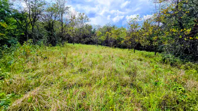 6847 Brushy Fork Road, Madison - 28