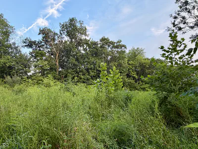 1732 250 West Road, Albion - 15