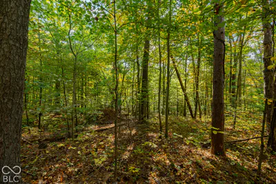 113 Hickory Knob Road, Nashville - 20