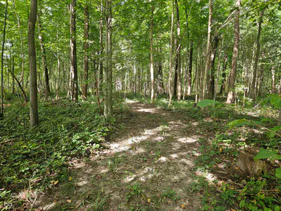 4078 E St. Rd. 28 Road, Tipton - 3