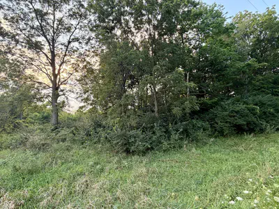1732 250 West Road, Albion - 11