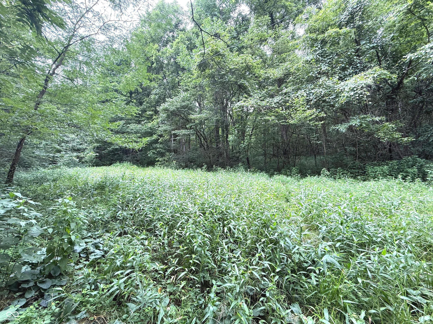 00000 Ferndale Road, Rockville