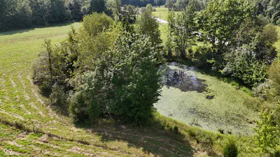 4201 State Road 135, Freetown - 13