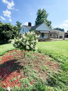343 Edgewood Avenue, Indianapolis - 6