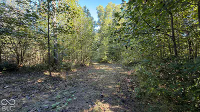0 Michaels Road, Bloomfield - 16