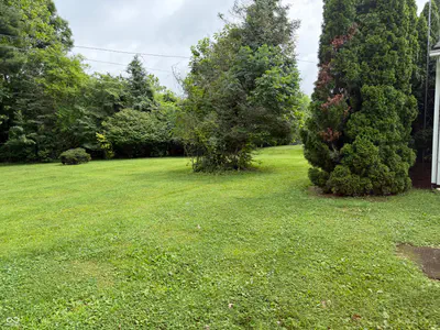 621 Woodland Drive, Rockville - 31