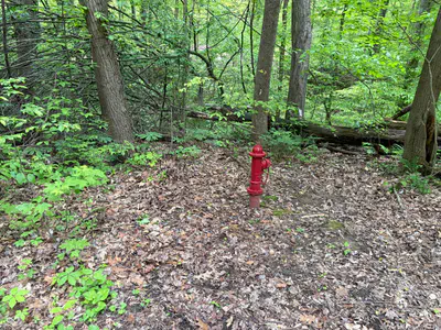102 & 104 Crabapple Court, Reelsville - 7