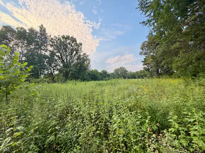 1732 250 West Road, Albion - 13