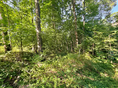3356 Mangus Road, Poland - 8