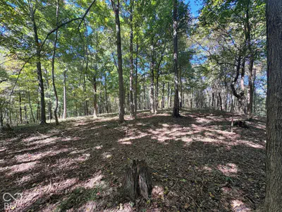 3920 N County Road 500 W, West Baden Springs - 13