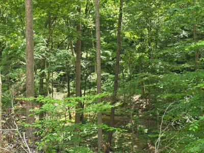 0 Blue Barn Road, Bloomfield - 22