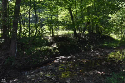 0 Sichting Road, Martinsville - 39