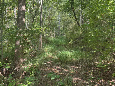 15839 State Road 156, Patriot - 27