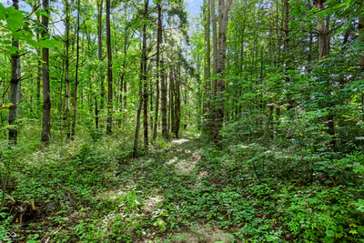 3555 Belle Arbres Lane, Westfield - 11