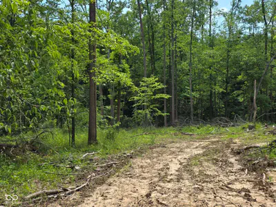 0 Blue Barn Road, Bloomfield - 18