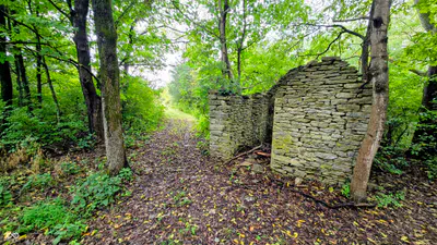 6847 Brushy Fork Road, Madison - 18