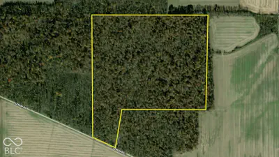 3255 Lemon Road, Madison - 4