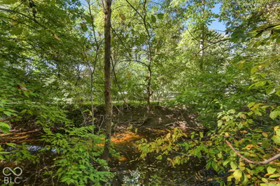 4238 S Carrie Drive, New Palestine - 71