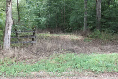 3490 Marlett Road, Nashville - 37