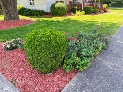 215 College Street, Rockville - 60
