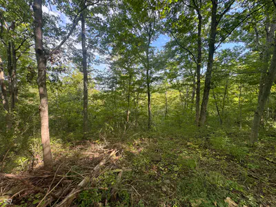 15839 State Road 156, Patriot - 24