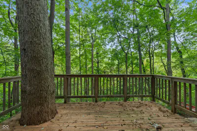 4206 Woodsage Trace, Indianapolis - 32