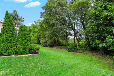 13799 Forum Meadows Drive, Carmel - 64