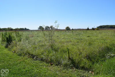 Land Only County Road 950, Brownsburg - 7