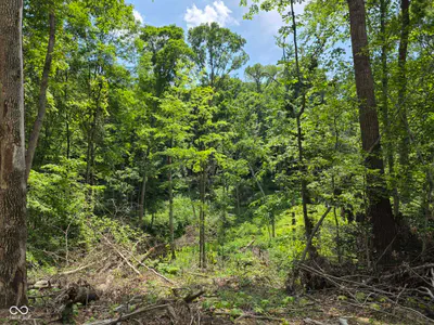 0 Blue Barn Road, Bloomfield - 24