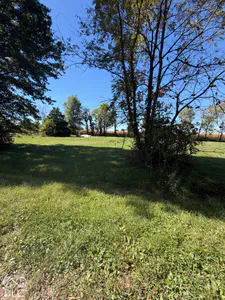 3565 Fayette, Kingman - 9