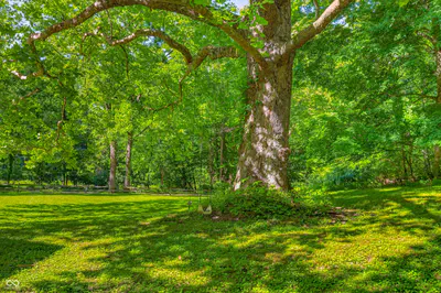1021 Combs Road, Nashville - 62