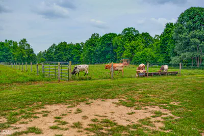 2508 Indian Creek Road, Trafalgar - 123