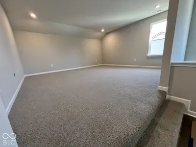 6234 Rippling Rock Drive, Plainfield - 9