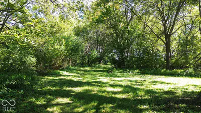 12789 State Road 28, Frankfort - 7