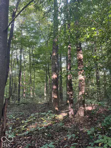 Tract 9 Sunnyside Road, Deputy - 3