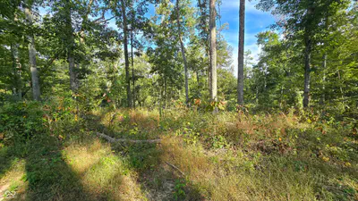 4332 State Road 135, Freetown - 14