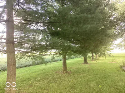 5635 E 1050 S, Keystone - 9