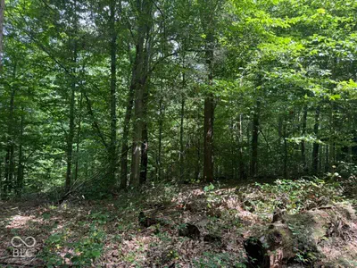 0 Buffalo Pike Road, Freetown - 5