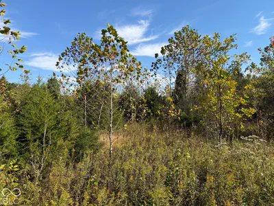 450 South, Columbus - 8