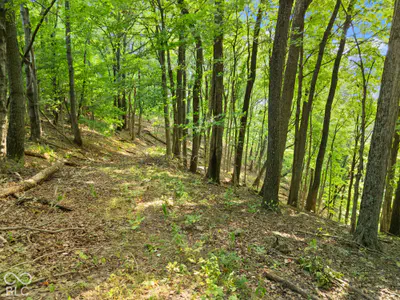 0 McCarthy Knob Road, Lanesville - 19
