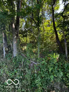 Lot #2 100, Perrysville - 6