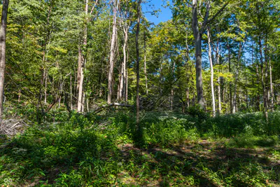 0 Pumpkinvine Hill Road, Martinsville - 12