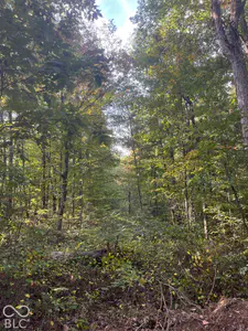 Tract 6 Sunnyside Rd, Deputy - 6